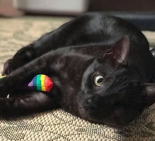 Initial Reading 30 min