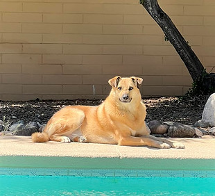 Follow-up Reading 1 Hour