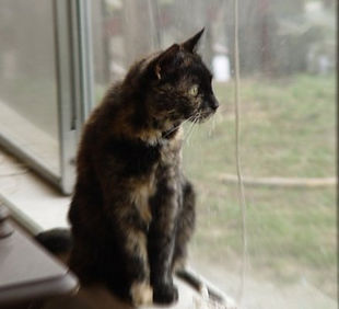 Follow-up Reading 15 min